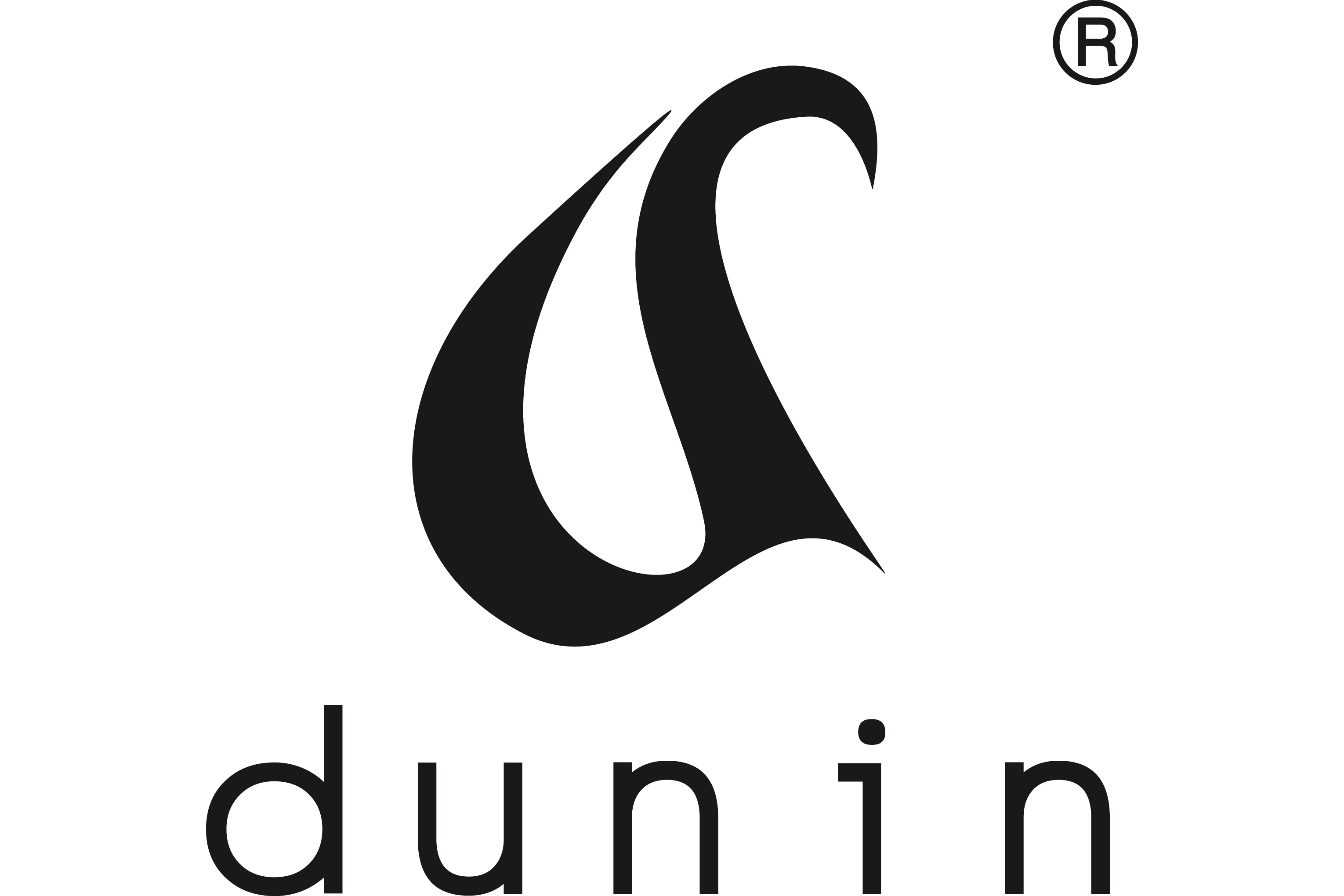 partner firmy logo